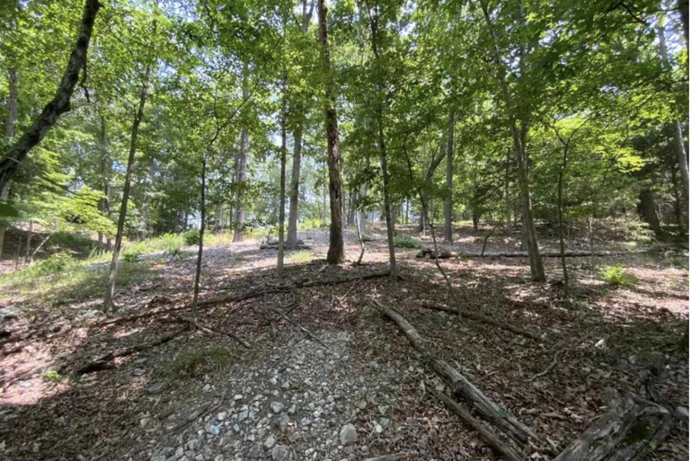 Driftwood Resort Bull Shoals Exterior photo