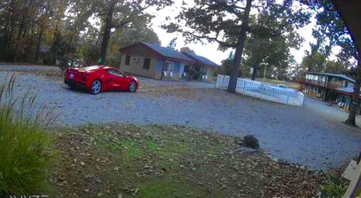 Driftwood Resort Bull Shoals Exterior photo